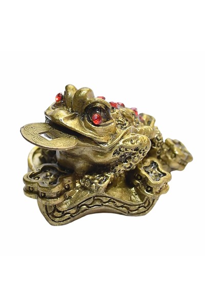 Feng Shui Broasca raioasa cu Ru Yi pe monede
