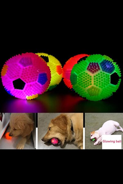 Pati Cool Kedi Köpek Düdüklü Işıklı Oyun Topu | Renkli Işıklı Köpek Oyuncağı