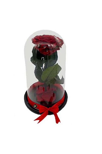 velve Trandafir Criogenat cu accesorii, blat negru, pe pat de petale, rosu si...