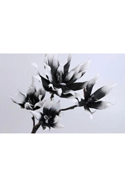 OEM CREANGA MAGNOLIE CU 5 FLORI ALB-NEGRU