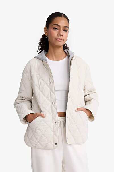 DeFacto Su Geçirmez Çift Taraflı Regular Fit Kapitoneli Çıtçıtlı Mont E8698AX25AU