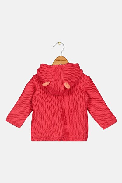 Dp Am Toddlers Girl Long Sleeve Hooded Jacket, Red