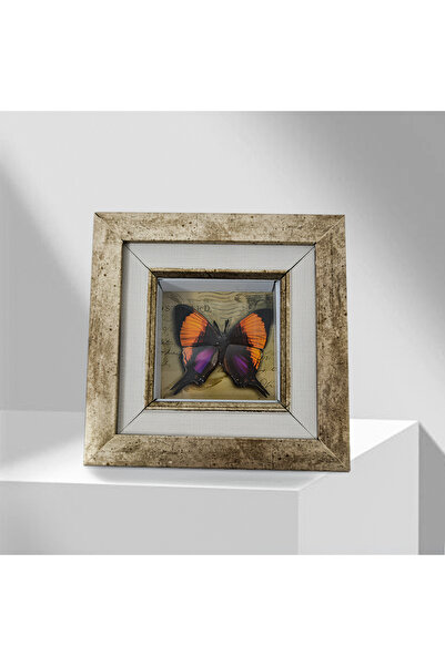 Rolyaf tasarım merkezi Kelebek Desenli Rölyef Duvar Aksesuarı