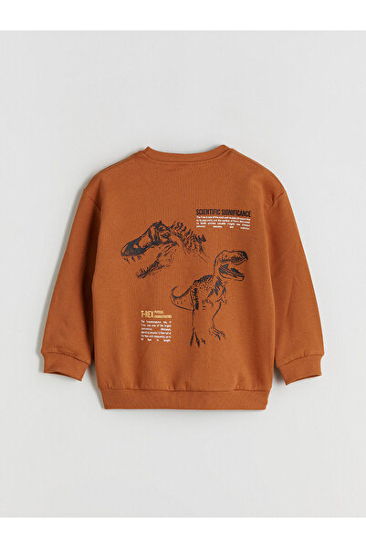 LC Waikiki Gray Dinosaur Figured Boys' Sweatshirt 2-Pack