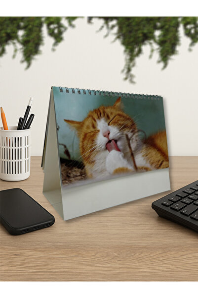 MİSVAK SANAT Kedi Temalı Masa Takvim