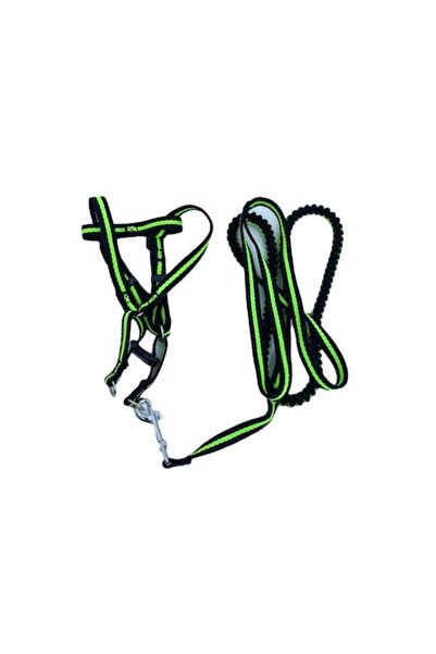 Doty Lesa cu ham Baxter pentru caini de talie mica, rezistenta, ajustabila, a...