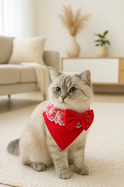 Quun Kedi Köpek Yakalık Aksesuar – Papyonlu, Rahat ve Ayarlanabilir Tasma