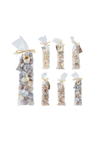 Koopman Nautical Style Assorted Shapes Natural Seashell