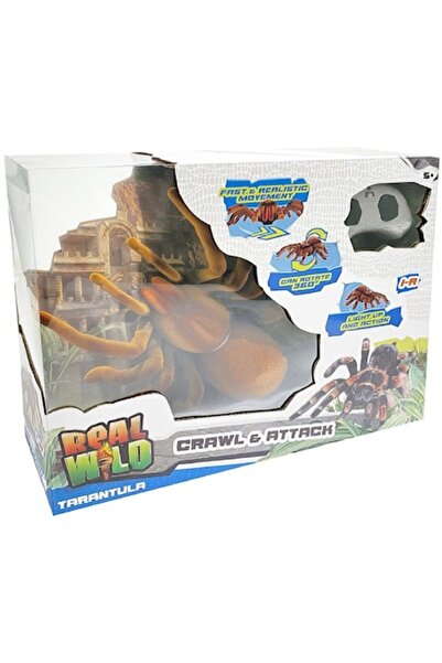 TOYSPACE Păianjen Tarantula Uriaș, Real Wild, Multicolor, 25 cm, Telecomandă