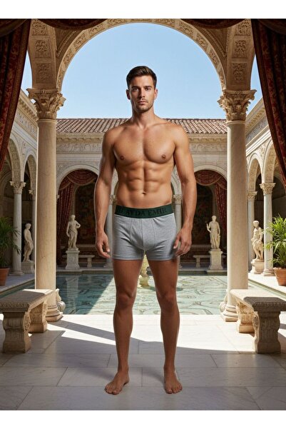 ilayda emir Premium Series; 95% Cotton, 5% Elastane Gray Men's Boxer Lycra