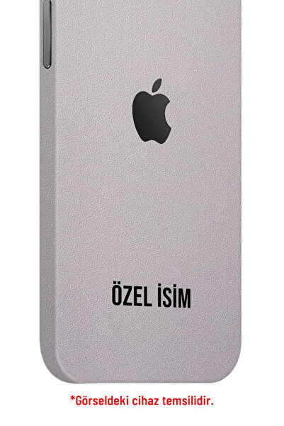 Papscover Samsung S23 Ultra Kaplama Natürel Titanyum