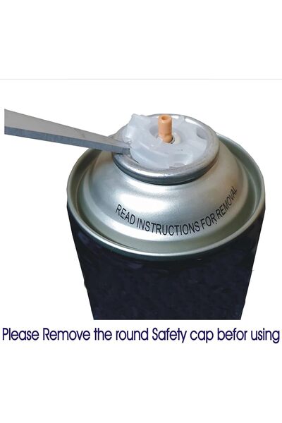 Auto Extreme Eliz Professional Silver Gloss Body Spray Paint 400ml