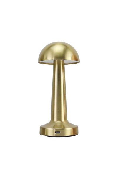 Panther Yeni Estevia Krg  Pt-700 Usb Şarjlı Masa Lambası Company