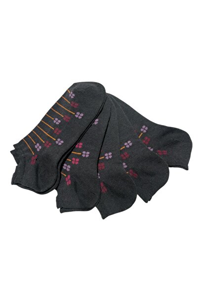 BYNDRSOCKS 5 Pairs of Women's Booties Cotton Socks