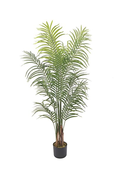 Essentials 360 ® نبات صناعي شجرة نخيل أريكا 150 سم نباتات صناعية نبات مزيف شجرة زخرفية