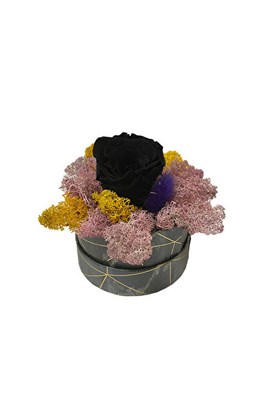 velve Trandafir criogenat Pastel Perfection decorat in cutie cu licheni natur...