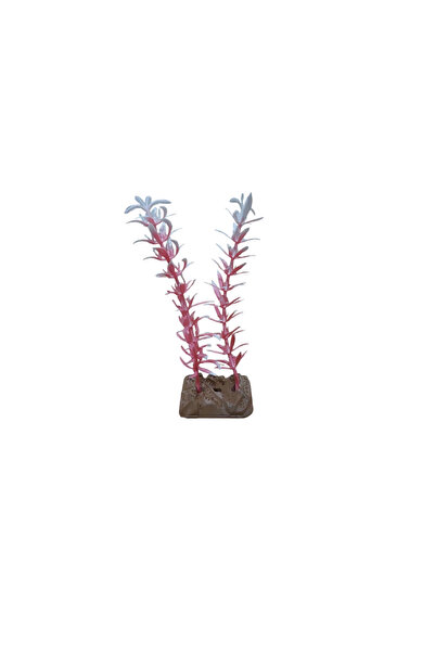 Kanki Pet Akvaryum Yapay bitki Süsü Kedi Tırnağı Pembe Beyaz 14 cm