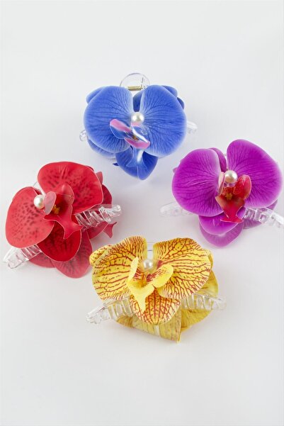 nolva Cataramă Orkide 10 cm