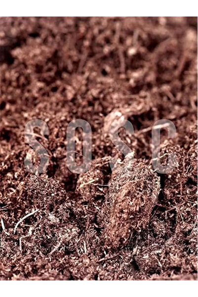 Genel Markalar İthal Sphagnum Bitki Yetiştirme Torfu - Böcek Sinek Yapmaz Pre...