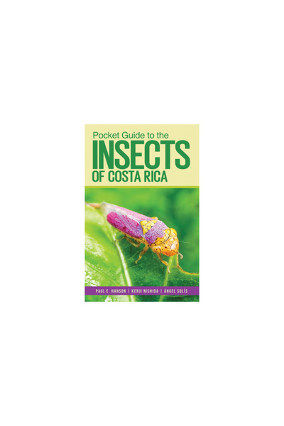 Comstock Pub Pocket Guide to the Insects of Costa Rica