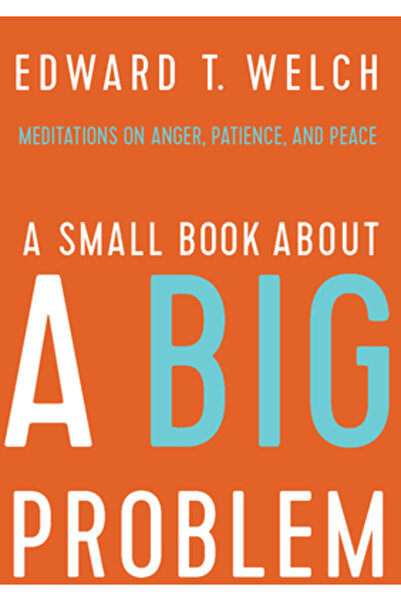 New Growth Pr A Small Book about a Big Problem: Meditations on Anger, Patienc...