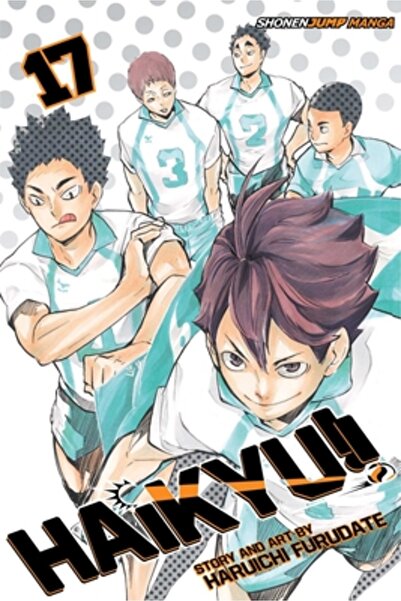 Viz LLC Haikyu!!, Vol. 17