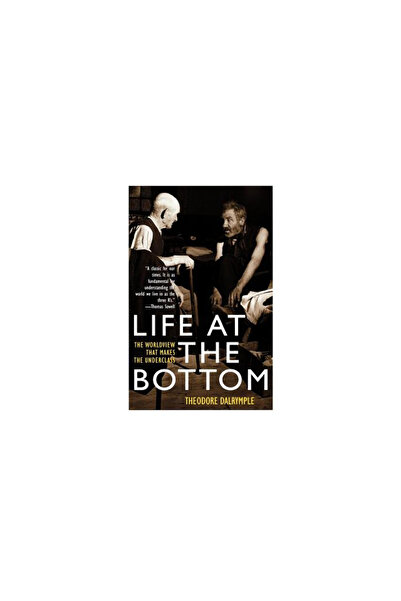 Ivan R. Dee Publisher Life at the Bottom: The Worldview That Makes the Underclass