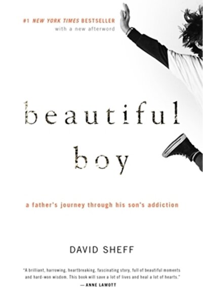 mariner books Beautiful Boy: A Father's Journey Through His Son's Addiction