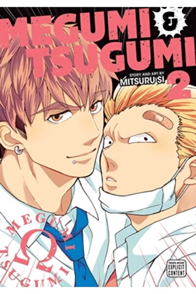 Viz LLC Megumi & Tsugumi, Vol. 2