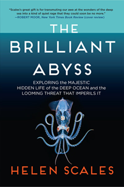 Atlantic Monthly Pr The Brilliant Abyss: Exploring the Majestic Hidden Life o...