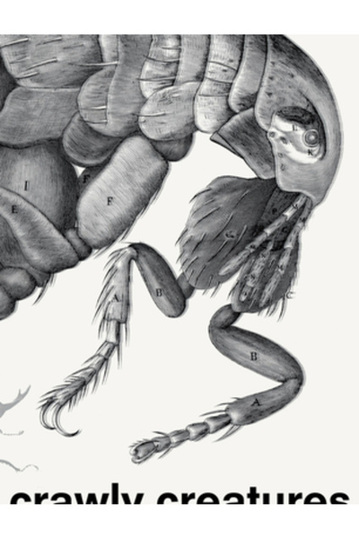 Nai010 Publ Crawly Creatures: Depiction and Appreciation of Insects and Other...