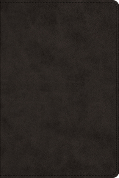 Crossway Books Large Print Bible-ESV