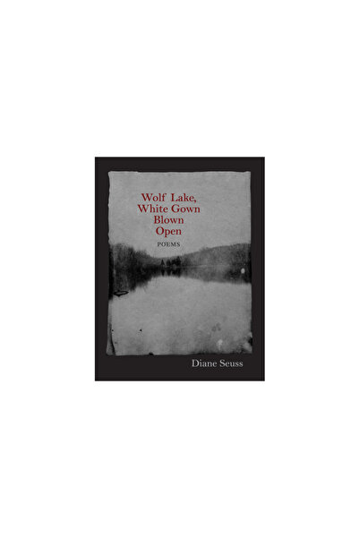 University Of Massachusetts Press Wolf Lake, White Gown Blown Open: Poems