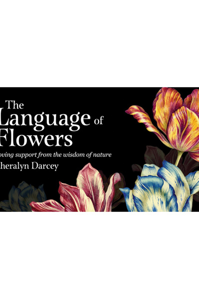 Rockpool Pub The Language of Flowers: Loving Support from the Wisdom of Nature