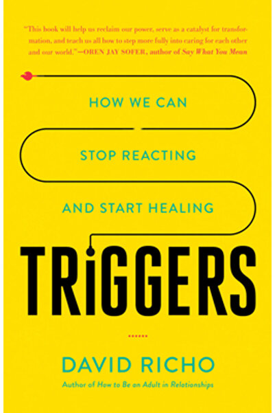 Shambhala Triggers: How We Can Stop Reacting and Start Healing