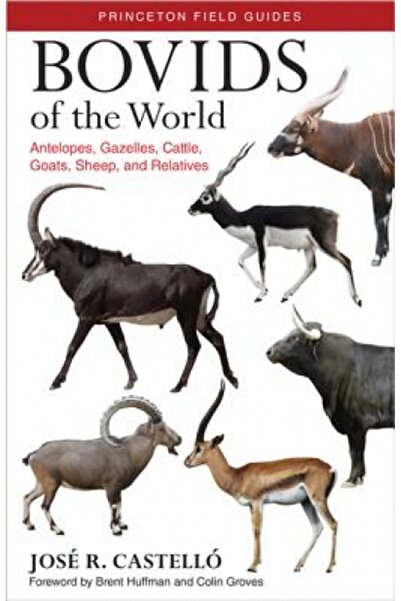 Princeton Univ Pr Bovids of the World: Antelopes, Gazelles, Cattle, Goats, Sheep, and Relatives