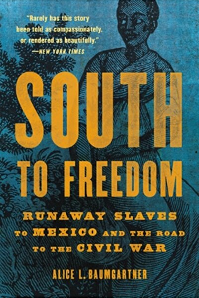 Basic Books South to Freedom: Runaway Slaves to Mexico and the Road to the Ci...