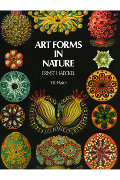 Dover Publications Art Forms in Nature