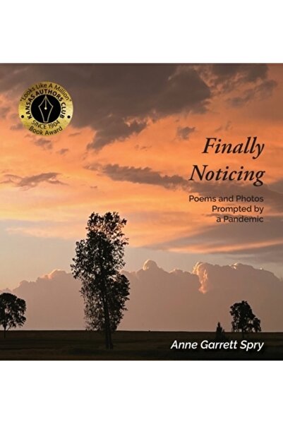 Dementi Milestone Pub Finally Noticing: Poems and Photos Prompted by a Pandemic