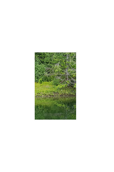 Blurb Inc Tahsis Inlet Outlet Revival Anthology 2020 Black and white Edition:...