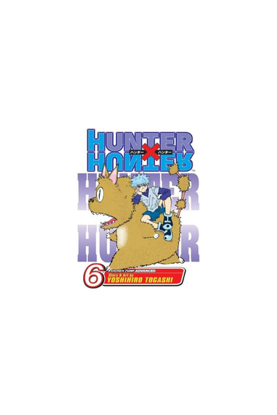 Viz Media Hunter X Hunter, Volume 6