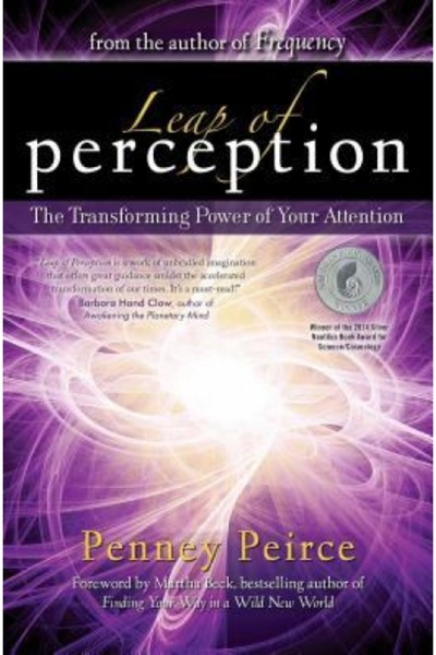 Basic Books Leap of Perception: The Transforming Power of Your Attention