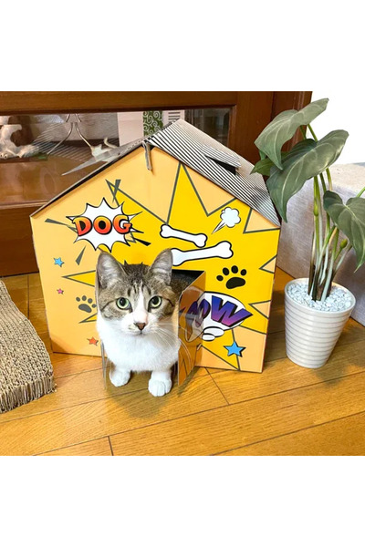 CARBOY Căsuță pentru pisici, carton, albastru/portocaliu