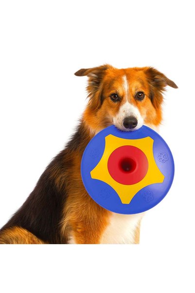 Generic Brand Trotto Disk Dog Toy Colorful