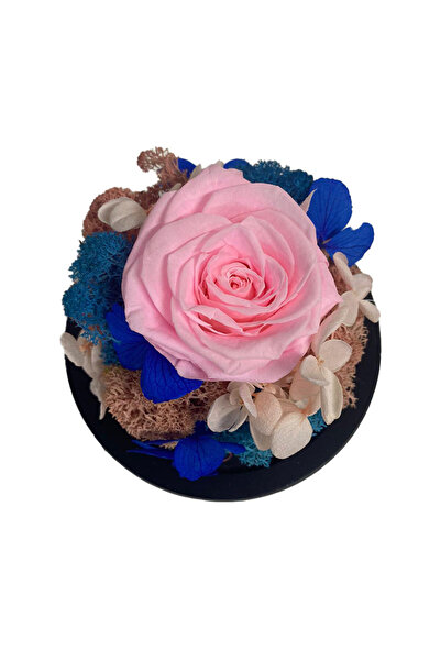 velve Trandafir Criogenat in cupola de sticla cu hortensii,licheni, roz, Roz,...