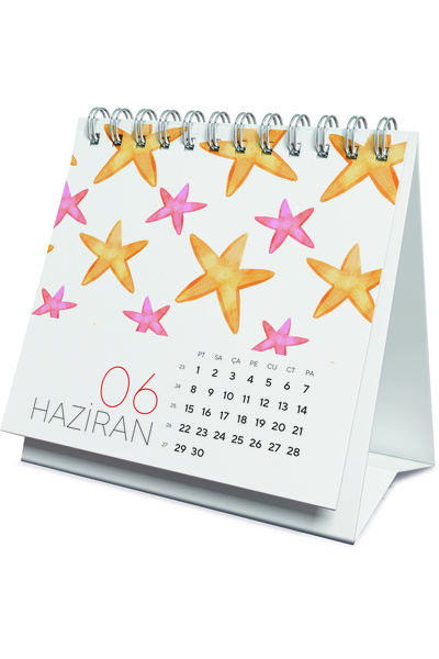 Gıpta 2026 Sıvama Masaüstü Üçgen Takvim 14x14