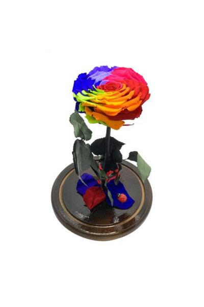 velve Trandafir Criogenat XXL in cupola de sticla cu blat negru, pe pat de petale, albastru sidefat