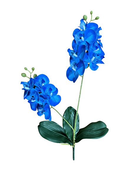 ŞA-DAL STORE Yapraklı 3D 2li Islak Orkide Dalı 55 Cm MAVİ