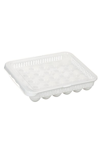 ANTBRO 30-egg plastic tray 0% BPA, white with closing transparent lid, ventilated