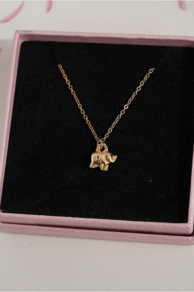 AŞIK ACCESSORIES Şans Sembolü Fil Detaylı Çelik Kolye